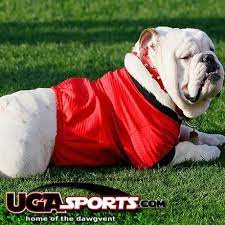 Caroline westrup named assistant coach for georgia golf. Ugasports Com Ugasportscom Twitter