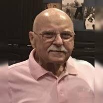 Mr. Anthony Gerard Lanza Obituary