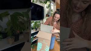 Image result for Begonia oxyloba