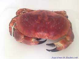 Book a table at 8tto granchi in desenzano del garda. Granchio Ecco Come Pulirlo Acqua Di Mare E Zucchero A Velo