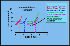 Lactate Threshold Pace Chart Stay Fit As You Get Older