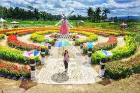 Padahal, di sini ada banyak taman yang siap menyuguhkan keindahan padamu! 9 Wisata Taman Bunga Celosia Di Indonesia Yang Nuansanya Ala Eropa