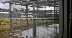 Christmas island, officially known as the territory of christmas island, is an australian external territory comprising the island of the same name. Australian Border Force Preparing To Transfer People In Onshore Detention Centres To Christmas Island Today