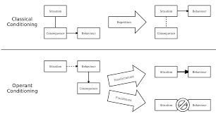 File Classical Vs Operant Conditioning Svg Wikimedia Commons