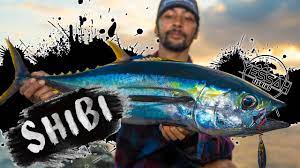 Shibi's) Drone fishing for tuna -Drone jigging techniques | Big Island  Hawaii Drone Fishing| - YouTube