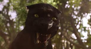 Rated pg for some sequences of scary action and peril. Bagheera The Jungle Book 2016 Jungle Book Disney Jungle Book Jungle Book 2016