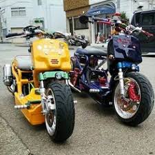 Opinions on an ice bear ruckus clone | scooter doc forum. 16 Maddog Scooters Ideas Honda Ruckus Scooter Honda