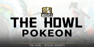 Gray wolves look somewhat like a large german. Home Wolves Esports