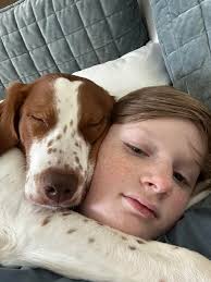 Winston snuggling up with his Pug blanket 🥰