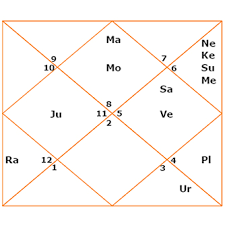 Raj Yog Fortune Of King In Birth Chart By Veenusastro