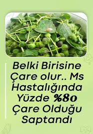 Ms Hastaliginda Yuzde 80 Care Oldugu Saptandi Healthy Diet Recipes Natural Health Remedies Fitness Diet