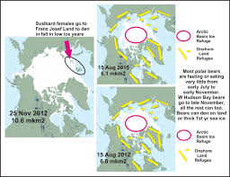 fasting polarbearscience