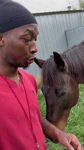 THE HORSE WHISPER 😂 #ayehood #latepost #sellumellum #FORYOU  #horsesoftiktok #horsewhisperer #horse #fypage