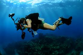 Underwater Photography Wikipedia