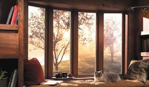 Home inspiration windows 3 best replacement window brands of 2021. Retrofit Window Installation Lowe S Vs Local Window Installer