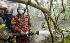 Azam khan ato shundor duniya 52747. Sundarbans Fire Doused Finally After 30 Hours