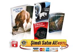 Kopegim Cok Havliyor Ne Yapabilirim Yavru Kopek Egitimi