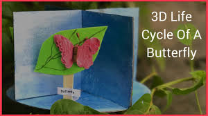 How To Make A 3d Model Of Life Cycle Of A Butterfly