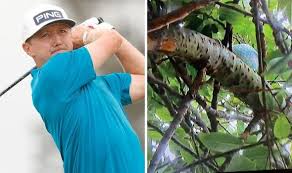 Don't be surprised if mackenzie hughes plays very well this week at the rsm classic and still heads home early. Fxkwrvwqzkexpm