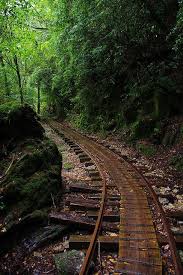 Forest Railway Yakushima Island Kagoshima Japan One Day I Am Going To Make It To Yakushima With Images Abandoned Train Scenery Railroad Tracks