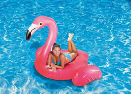 ;) these are sugar cookies dipped in smooth pink icing and sitting on top of a vanilla pudding snack that's tinted blue to represent pool water. Play Day Large Flamingo Pool Float Walmart Canada