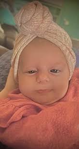 Obituary for Catherine Ellynn Shifflett