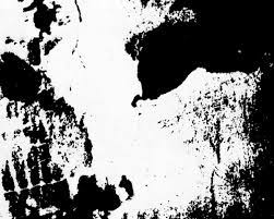 Gottlieb was born on august 20 1872, in laupen, bern, schweiz. This Is An Image Of A Cow Although Most People Are Unable To See It At Download Scientific Diagram