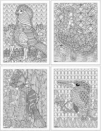 Pdf generator, jpg file, a4 size free to download 21 Free Printable Bird Coloring Pages For Adults The Artisan Life