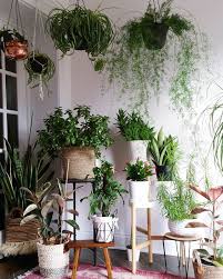 46 Wonderful Diy Indoor Garden Ideas To Freshen Your Home Interior Interior Plants Plant Decor Indoor Plants