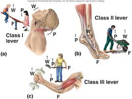 Pin On Entrenamiento Y Salud