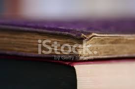 Libro morado / el libro morado: Libro Morado Columna Macro Fotografias De Stock Freeimages Com