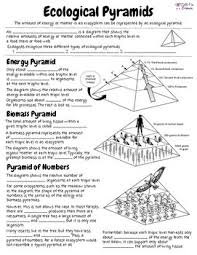Ecological Pyramids Ecological Pyramid Pyramids Energy Pyramid