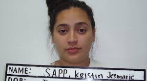 Kristin Sapp allegedly flashed police after refusing breathalyzer