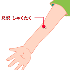 風邪や肩・腕の症状に効く『尺沢（しゃくたく）』】|麻生区,多摩区,宮前区,高津区,狛江市,在宅・訪問リハビリマッサージ