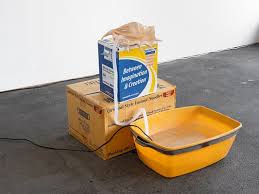 Bildergebnis für Vanessa Safavi