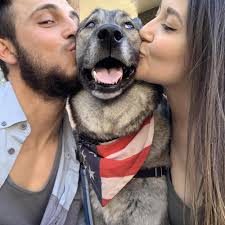 Lacey Noel and Nick Sweet's Wedding Website