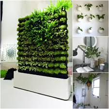 Vjay tv and radio canada. Indoor Planter Boxes Ideas On Foter