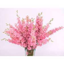 Organic Non Gmo Larkspur Salmon Pink Flowers Consolida Ambigua Members Of The Delfinium Family Big F Larkspur Flower Flower Seeds Dried Flower Arrangements