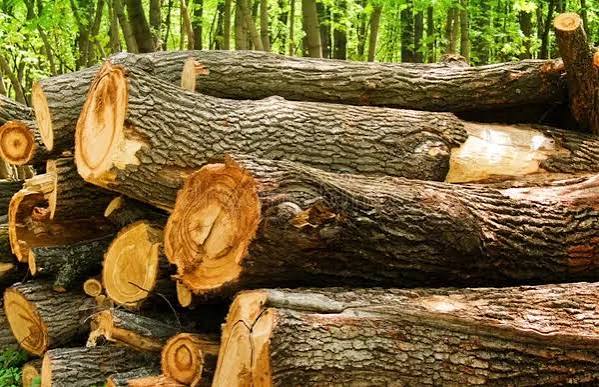 Quy trình vận chuyển gỗ từ Việt Nam đi Trung Quốc