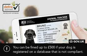 June is national microchip month! How Do You Find Out Your Dogs Microchip Number Dogwalls