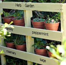 Tin containers with plastic lids (like coffee cans) coat hangers pliers scissors herbs masking tape coffee filters (genius!) a nail a. 50 Cheap And Easy Diy Herb Garden Ideas Prudent Penny Pincher