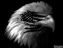 We did not find results for: Pin On American Flags