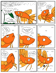 Our Favourite Betta Content From June Bettaboxx Betta Betta Fish Care Funny Animal Memes