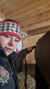 Elite Animal Physiotherapy