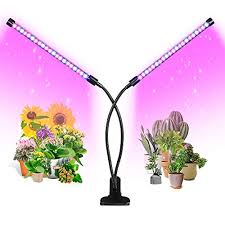 Read the complete guide on how to choose them and the best use practices. Top 13 Best Grow Lights For Succulents