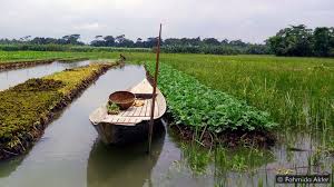 Clear instruction and official deletion page link. The Remarkable Floating Gardens Of Bangladesh Bbc Future