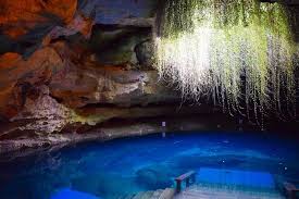 Devil's Den Prehistoric Spring: Explore the Florida Cave
