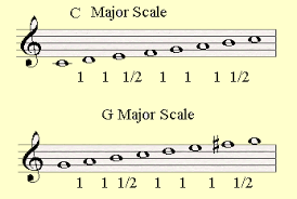 The initial key signature in a piece is placed immediately after the clef at the beginning of the first line. The Circle Of Fifths Circle Of Fifths Guitar Education G Major