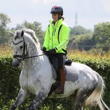 Free rein is a british drama television series created and written by vicki lutas and anna mccleery. Equisafety Charlotte Dujardin Cadence High Visibility Jacket Equus
