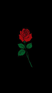 Black Flower Rose Wallaper Background Rose Wallpaper Dark Wallpaper Black Wallpaper
